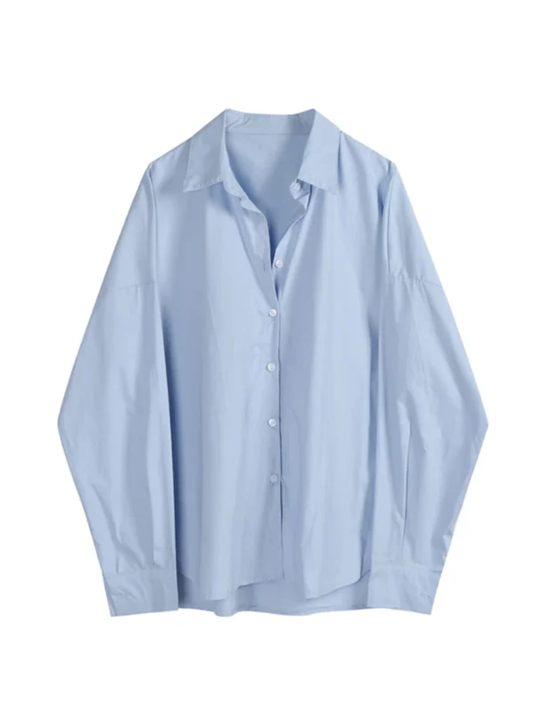 Oversized Long Sleeve Blouse